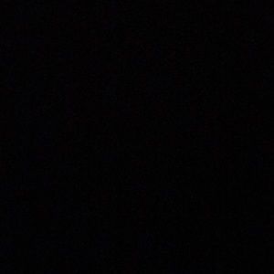 Meet your Posher, Sofia